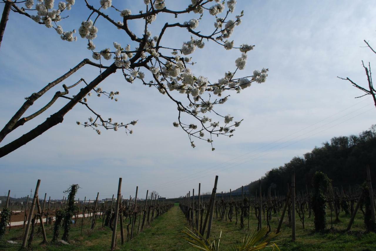 Agriturismo Il Rovere Lonato Exterior photo