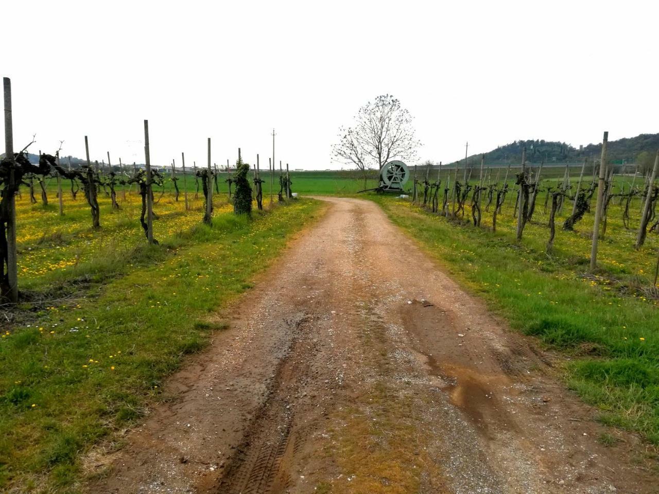 Agriturismo Il Rovere Lonato Exterior photo